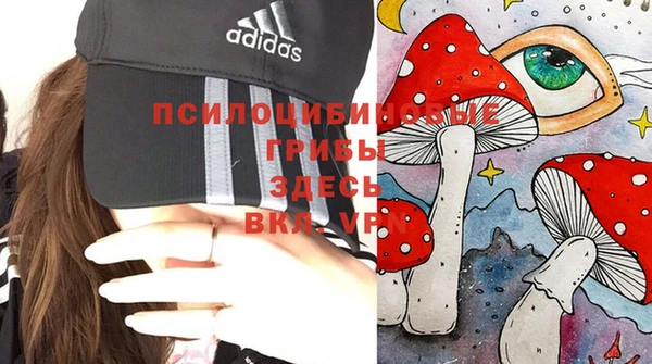 соль ск Гусев