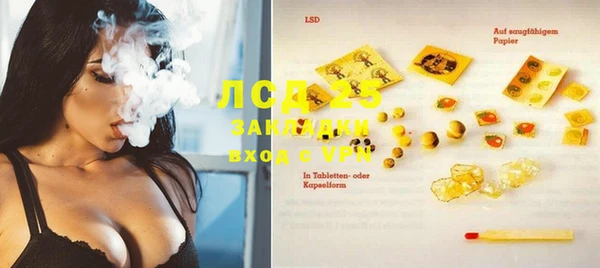 PSILOCYBIN Гусиноозёрск