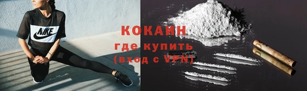 PSILOCYBIN Гусиноозёрск