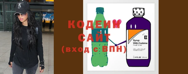 соль ск Гусев