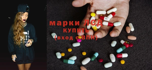 PSILOCYBIN Гусиноозёрск
