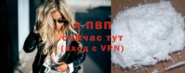 соль ск Гусев