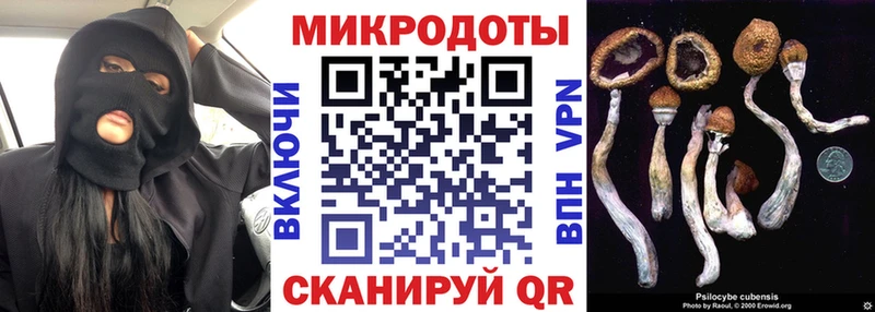 Галлюциногенные грибы ЛСД  Первомайск 